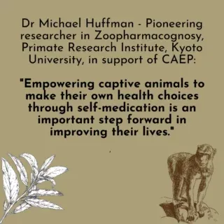 Dr. Huffman's endorsement of CAEP and our ethos affirms the importance of empowering captive animals through Applied Zoopharmacognosy.

Thank you, Dr. Huffman, for advocating for our work, supporting our cause and being a BOSS!

#caep_official #zoopharmacognosy #selfmedication #animalempowerment #capetownsouthafrica