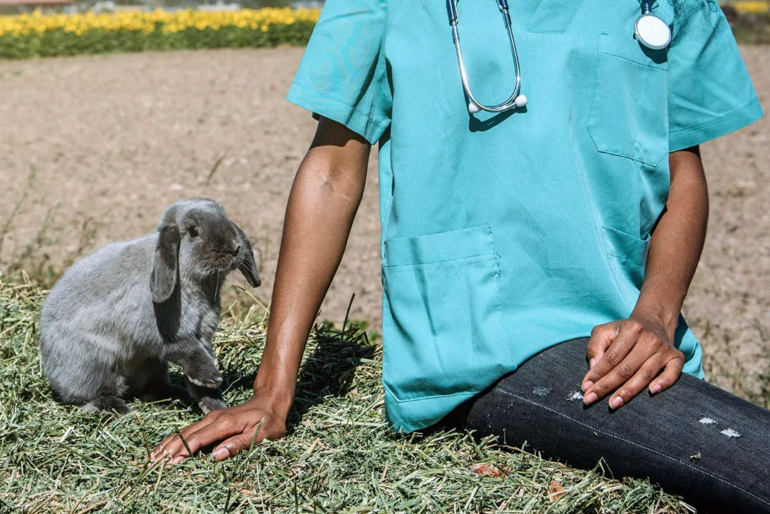 Self-selection: how animals can heal themselves