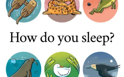 How do you sleep?