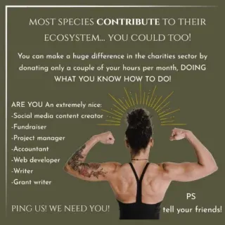 We CAN'T WAIT to hear from you!

Email us at info@captiveanimalenrichment.org to get scratching that purpose itch ;)

WE LOVE YOU!

#animalwelfare #captiveanimalenrichment #liveyourpurpose #giveback #charitywork #CAEP_official #CAEPSA #caep