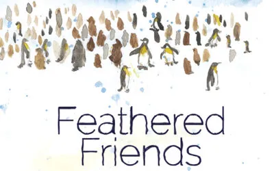 Feathered friends